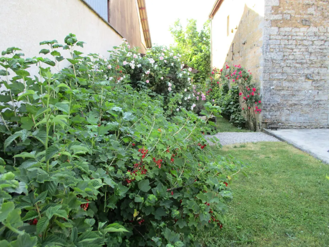 Gîte de France Gîte "antre-chats" 4 épis