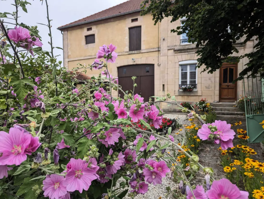 Gîte de France Gîte "antre-chats" 4 épis