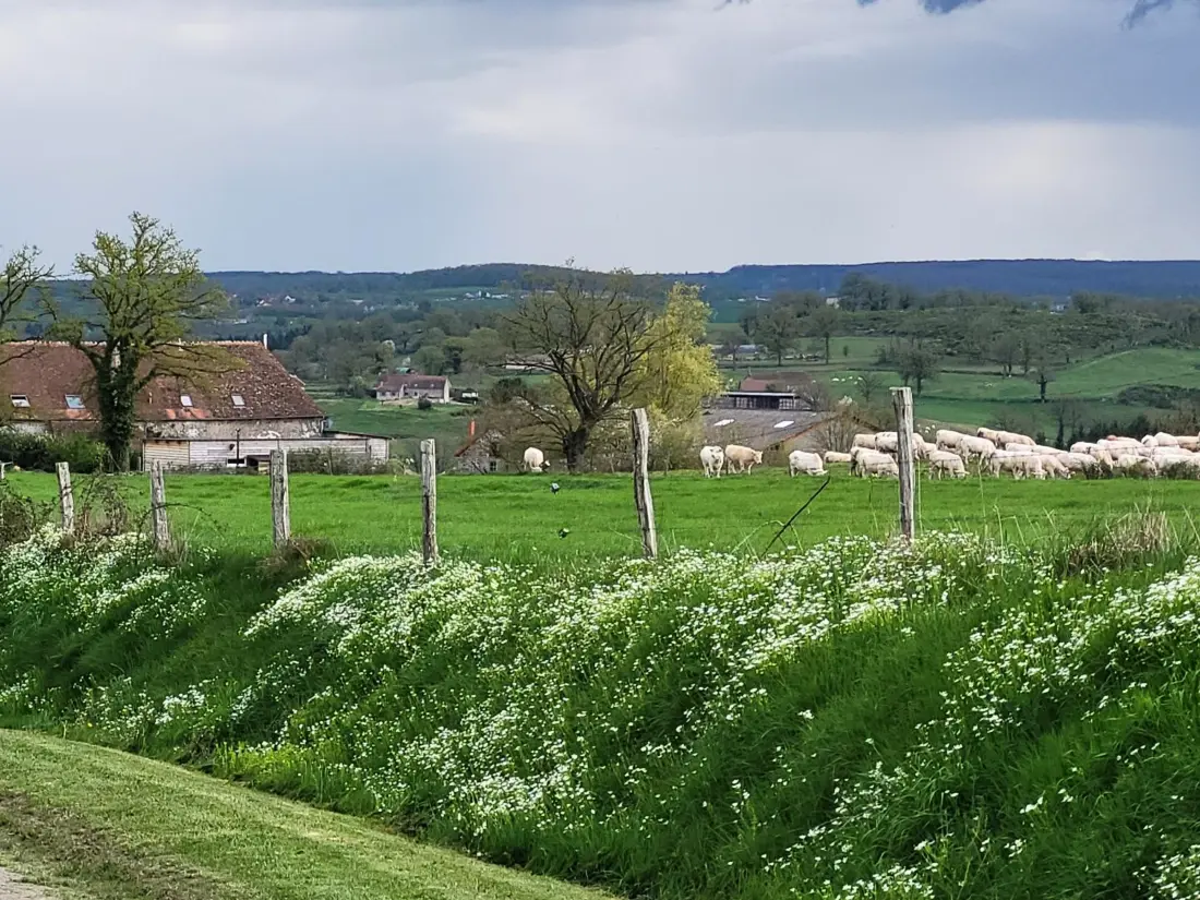 Maison de Vacances Blomard 2