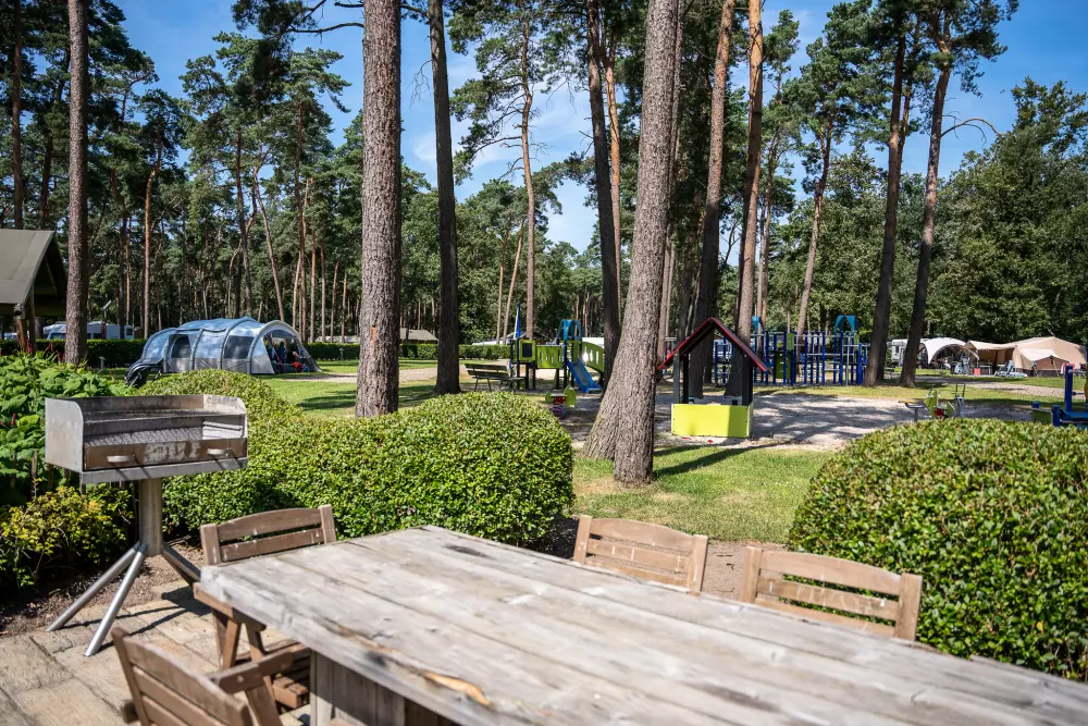 Familiepark Goolderheide - gekoppeld