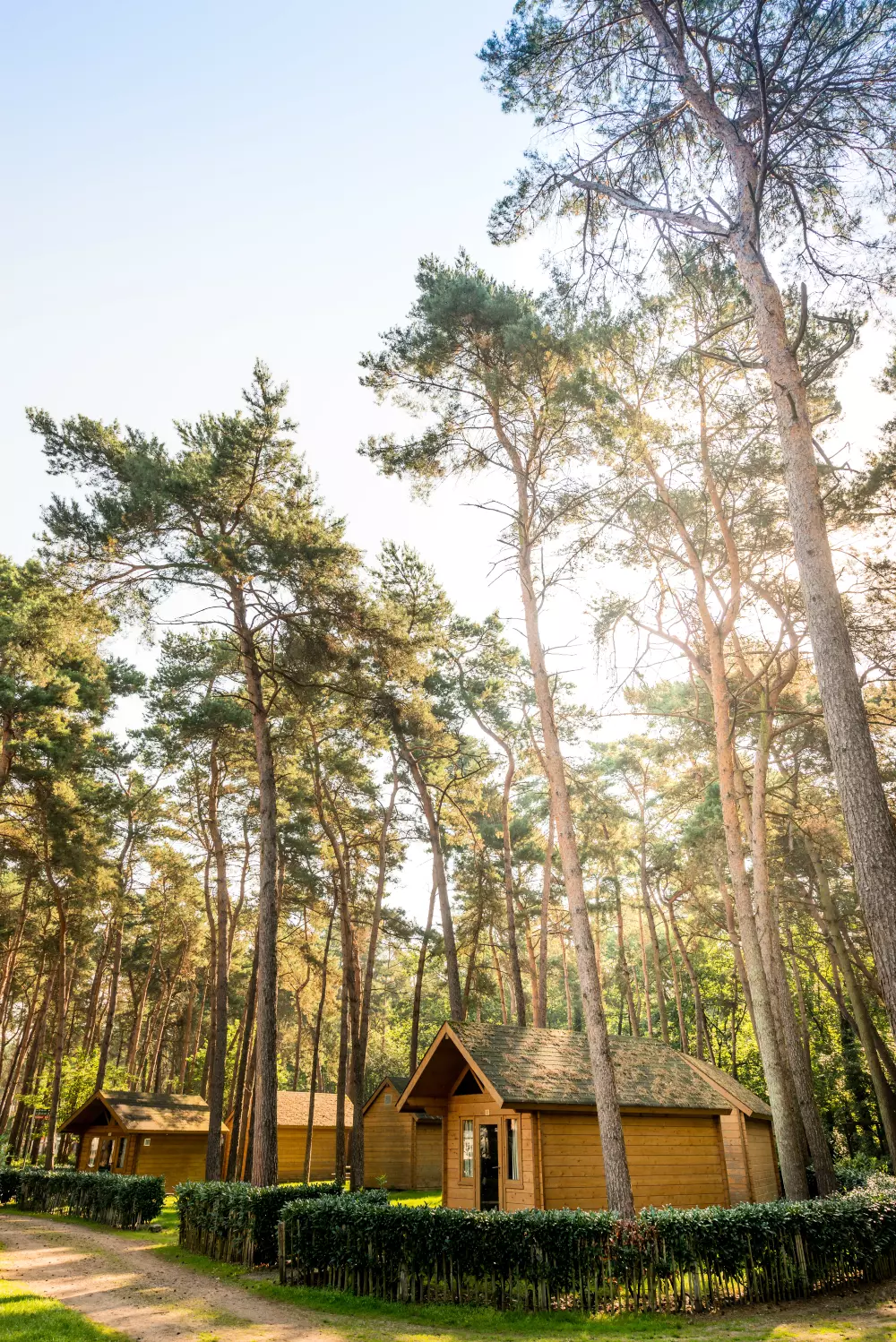 Familiepark Goolderheide - gekoppeld