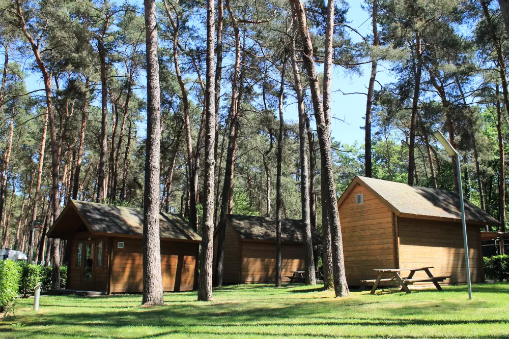 Familiepark Goolderheide - gekoppeld
