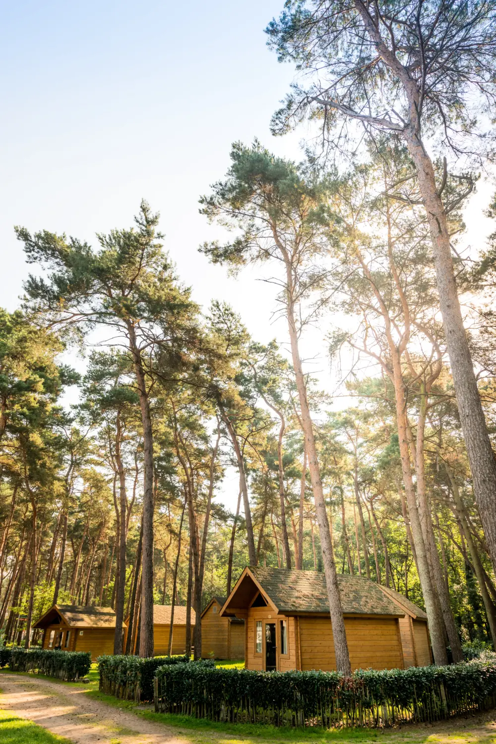 Familiepark Goolderheide