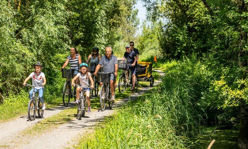 France - Poitou Loire - Bois de Céné - Camping maeva Escapades Le Bois Joli 4*