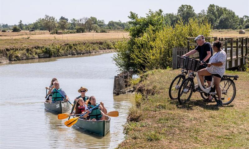 France - Poitou Loire - Bois de Céné - Camping maeva Escapades Le Bois Joli 4*