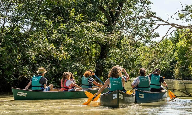 France - Poitou Loire - Bois de Céné - Camping maeva Escapades Le Bois Joli 4*