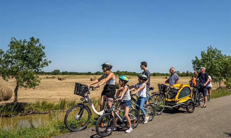 France - Poitou Loire - Bois de Céné - Camping maeva Escapades Le Bois Joli 4*