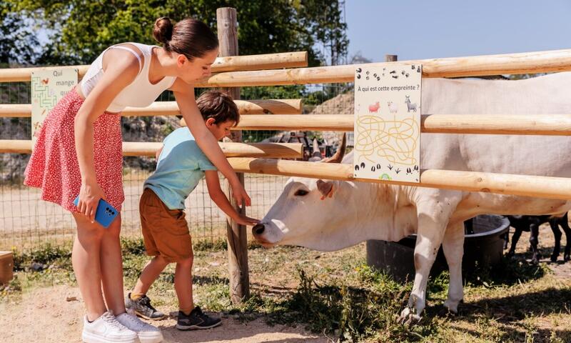 France - Poitou Loire - Bois de Céné - Camping maeva Escapades Le Bois Joli 4*