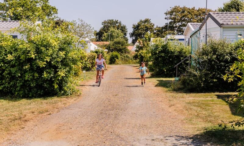 France - Atlantique Nord - Noirmoutier - Camping Maeva Escapades Le Bois Joli 3*