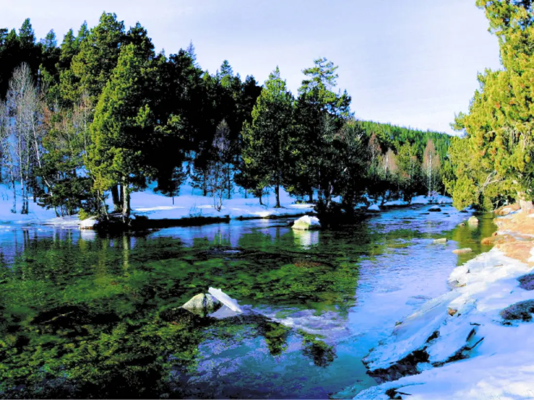 Location de Vacances Bolquère 17