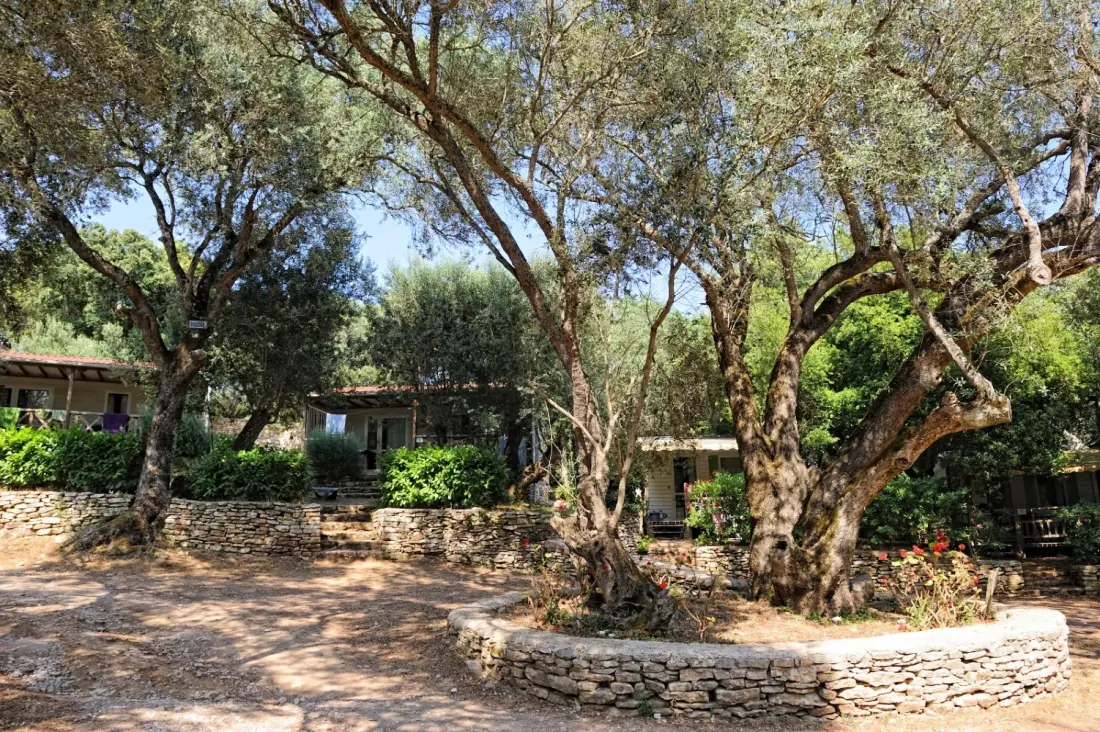 Camping Campo Di Liccia 3 étoiles★★★