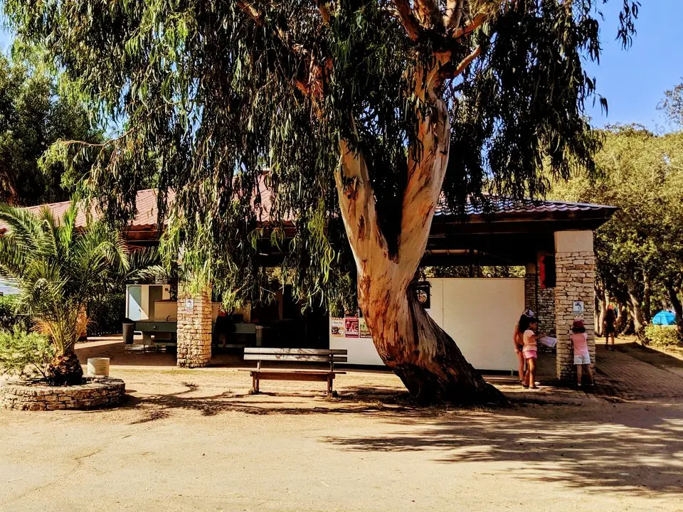 Camping Campo Di Liccia3 étoiles★★★