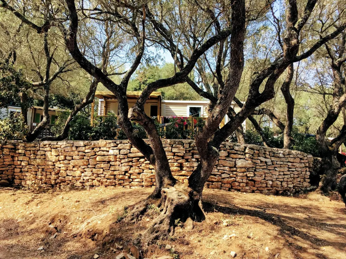 Camping Campo Di Liccia 3 étoiles★★★