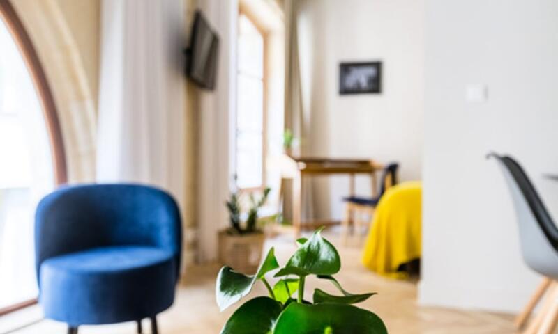 Appartement à La Belle Pierre Et Lumineux Pour 4 Situé Dans L'hypercentre - - Bordeaux - 23