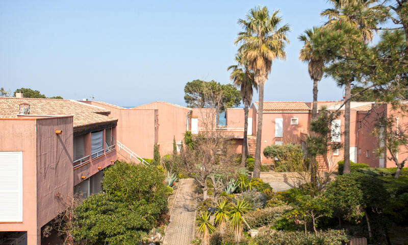 Appartements à Borgo - Corse - - Borgo - Corse - 18