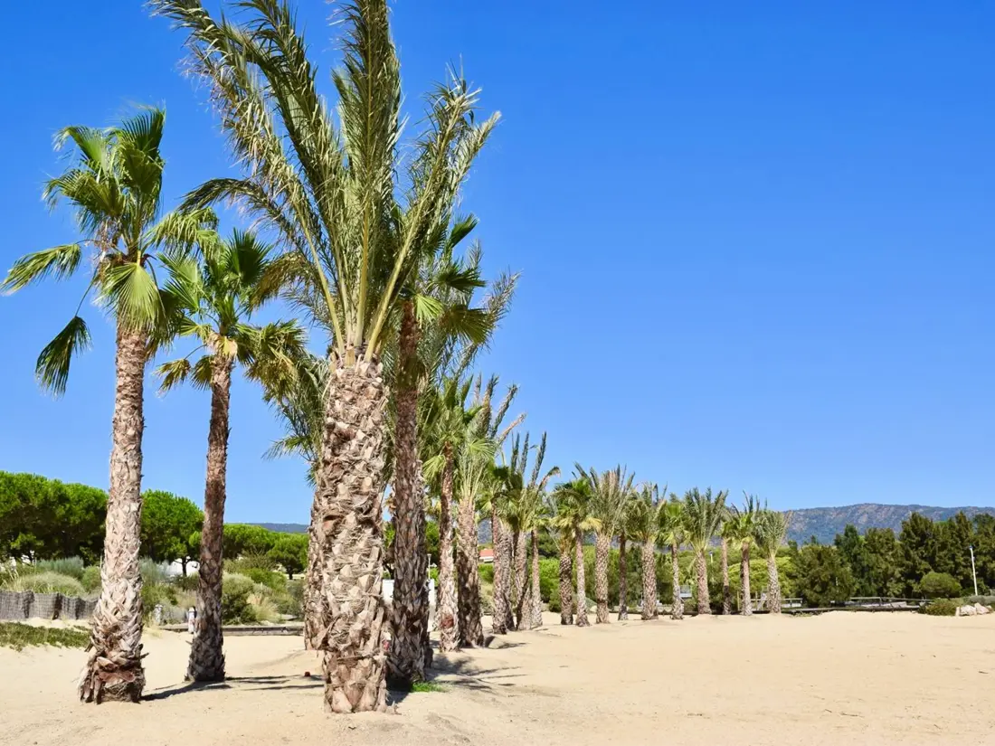 Location de Vacances Bormes-les-Mimosas 133