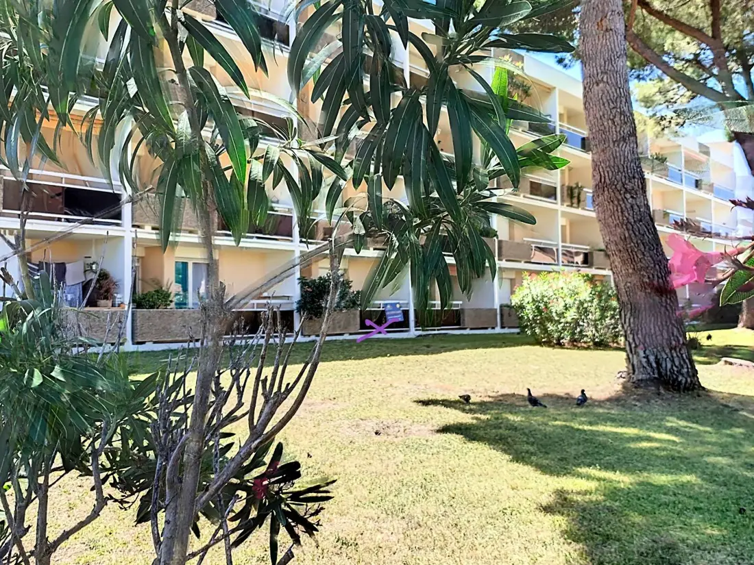 Location de Vacances Bormes-les-Mimosas 133