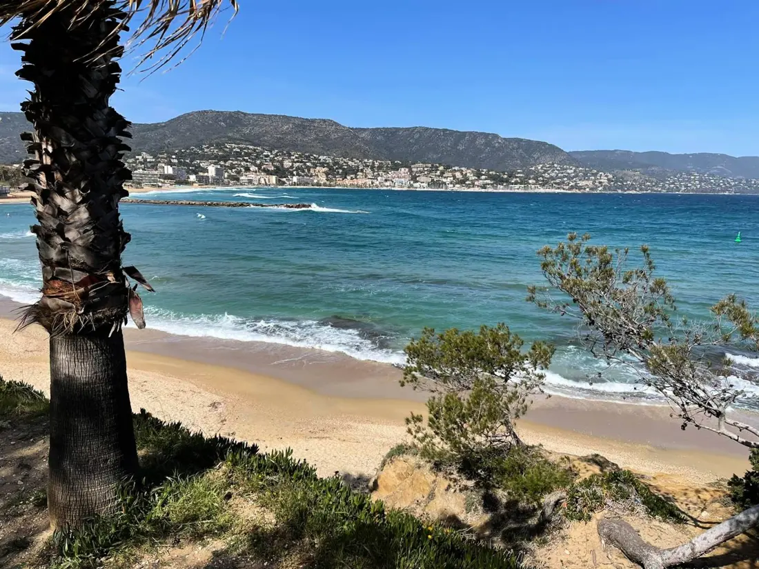Location de Vacances Bormes-les-Mimosas 146