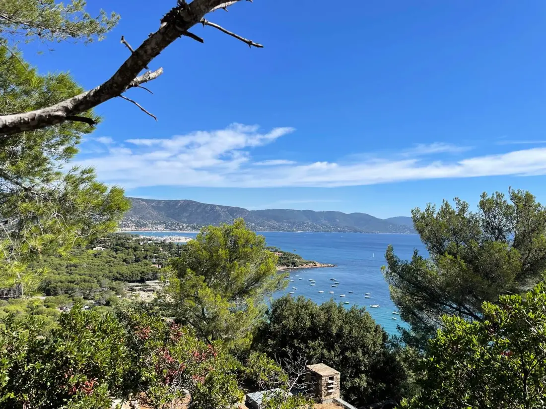 Location de Vacances Bormes-les-Mimosas 146