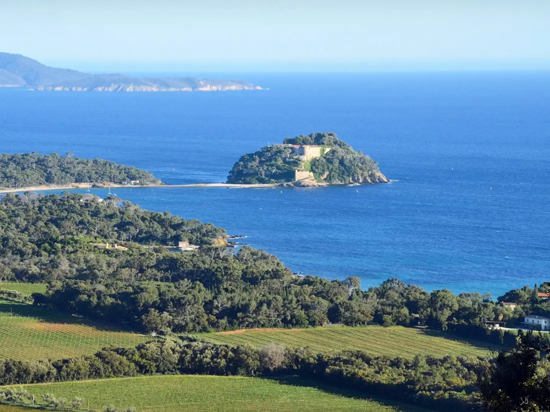 Location de Vacances Bormes-les-Mimosas 149
