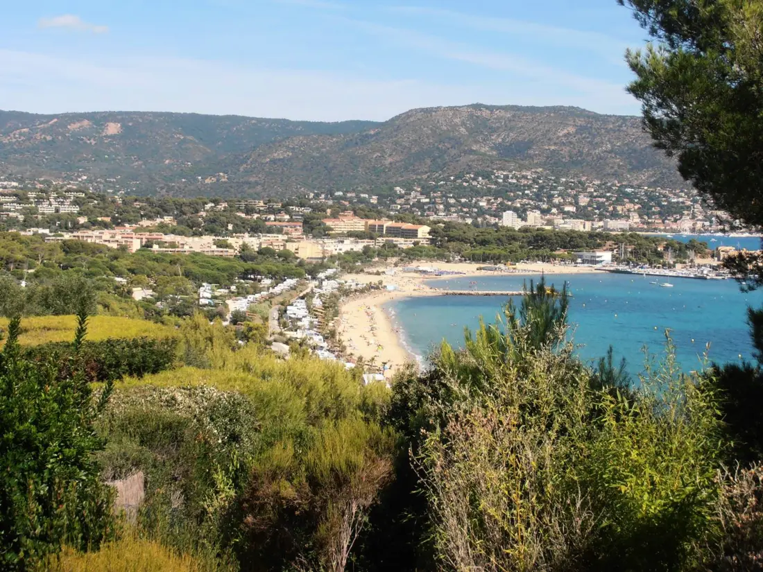 Location de Vacances Bormes-les-Mimosas 164