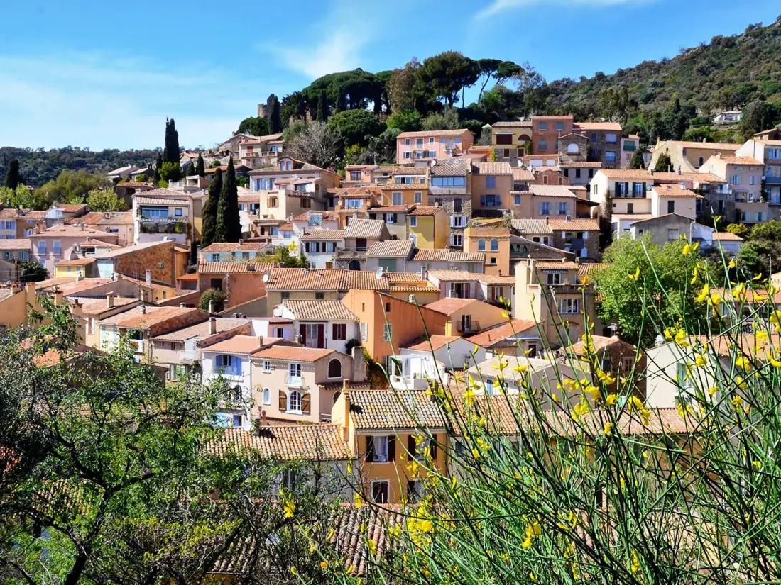Location de Vacances Bormes-les-Mimosas 164
