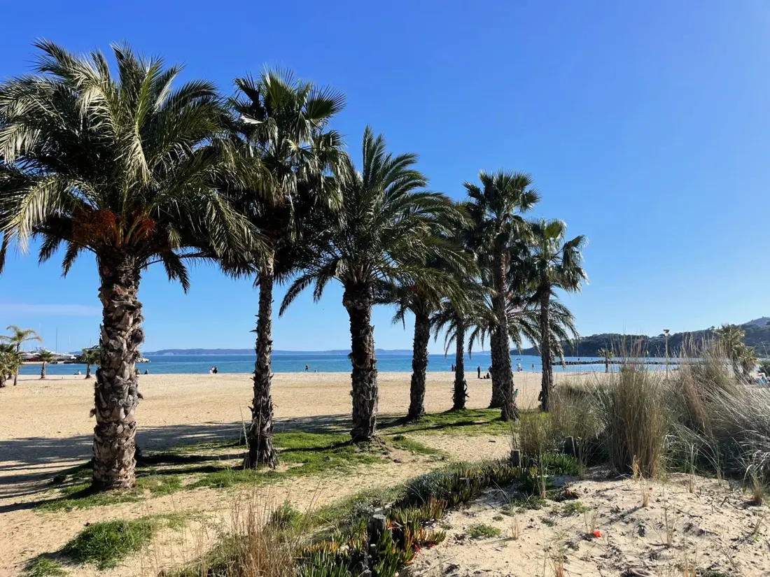 Location de Vacances Bormes-les-Mimosas 165