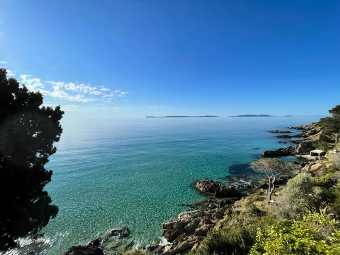 Location de Vacances Bormes-les-Mimosas 165