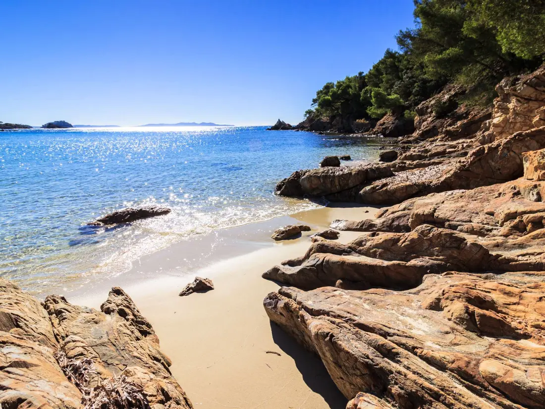 Location de Vacances Bormes-les-Mimosas 206