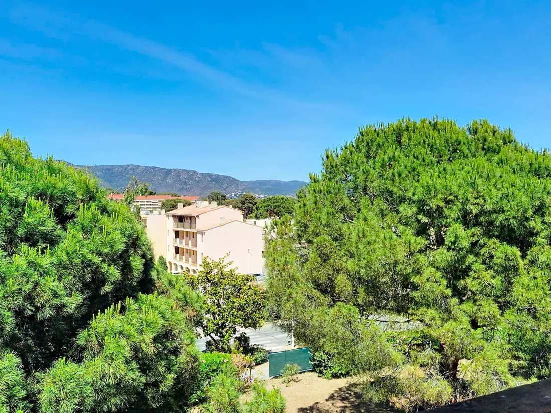 Location de Vacances Bormes-les-Mimosas 262