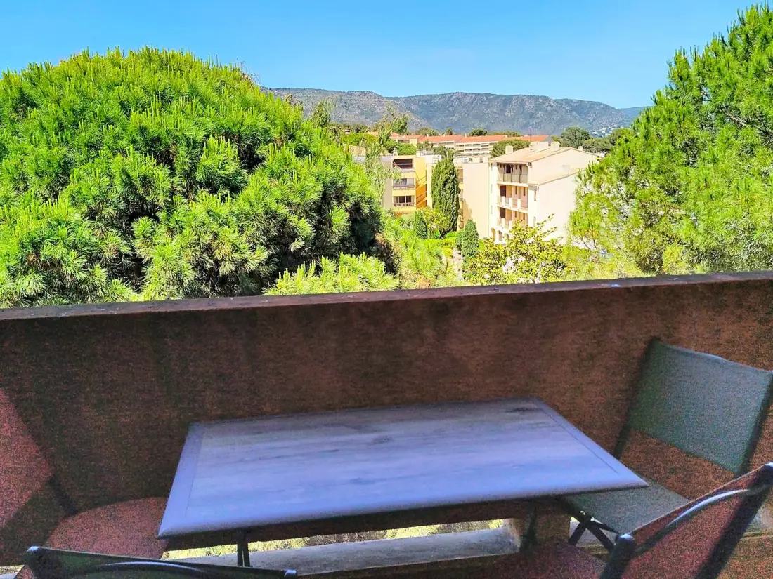 Location de Vacances Bormes-les-Mimosas 262