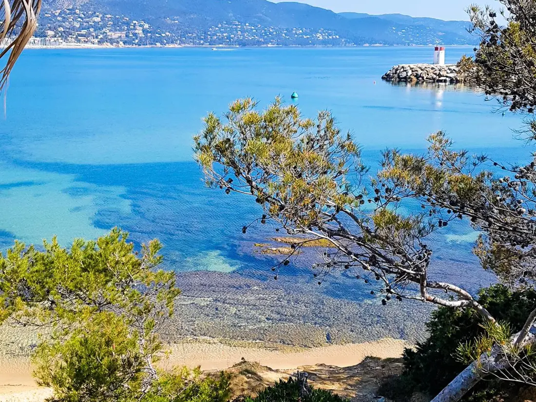 Location de Vacances Bormes-les-Mimosas 290