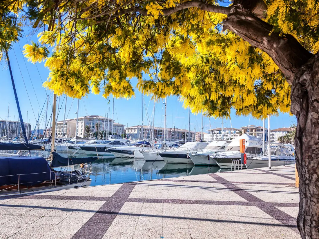 Location de Vacances Bormes-les-Mimosas 290
