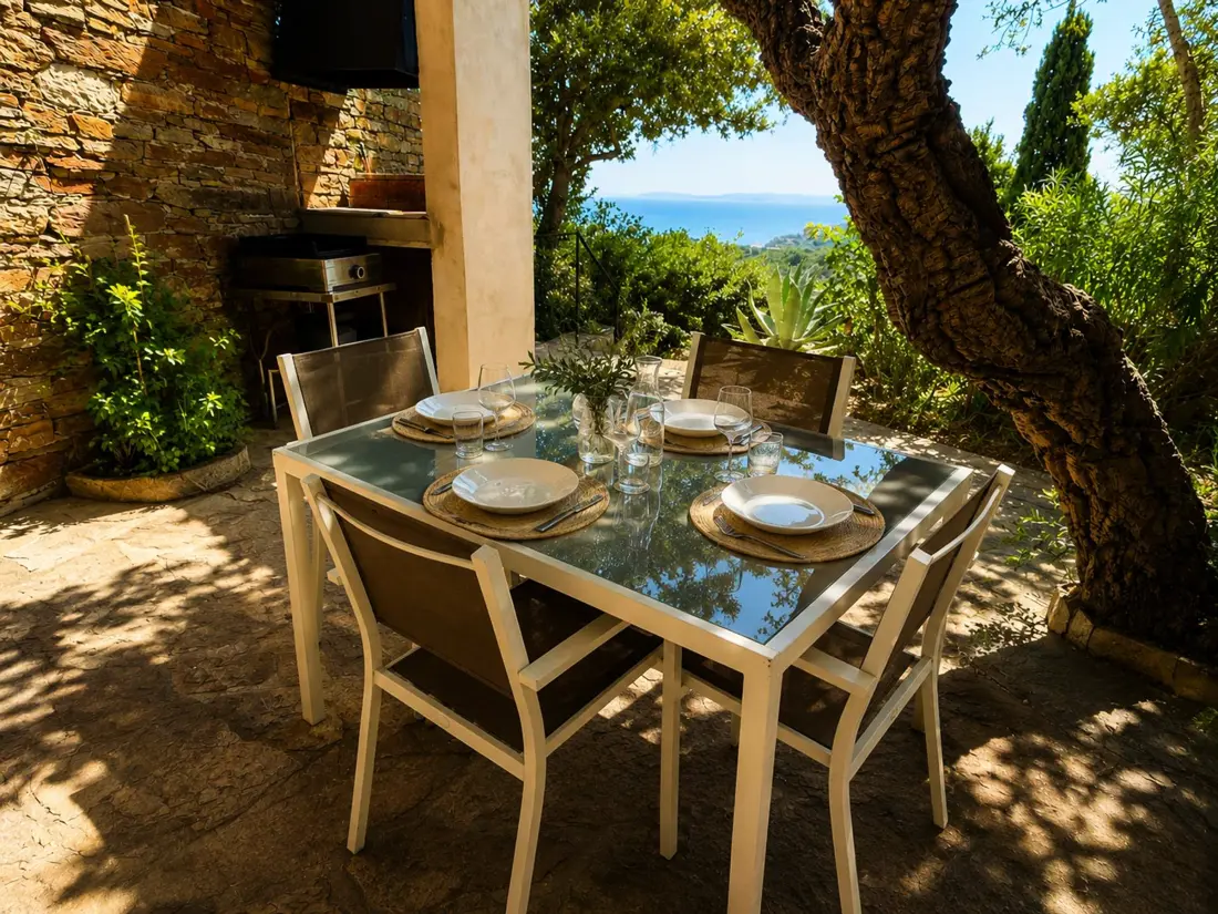 Maison de Vacances Bormes-les-Mimosas 298