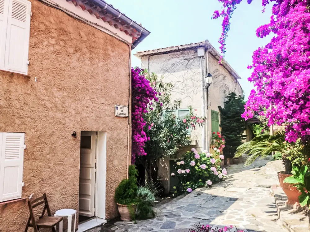 Maison de Vacances Bormes Les Mimosas 66