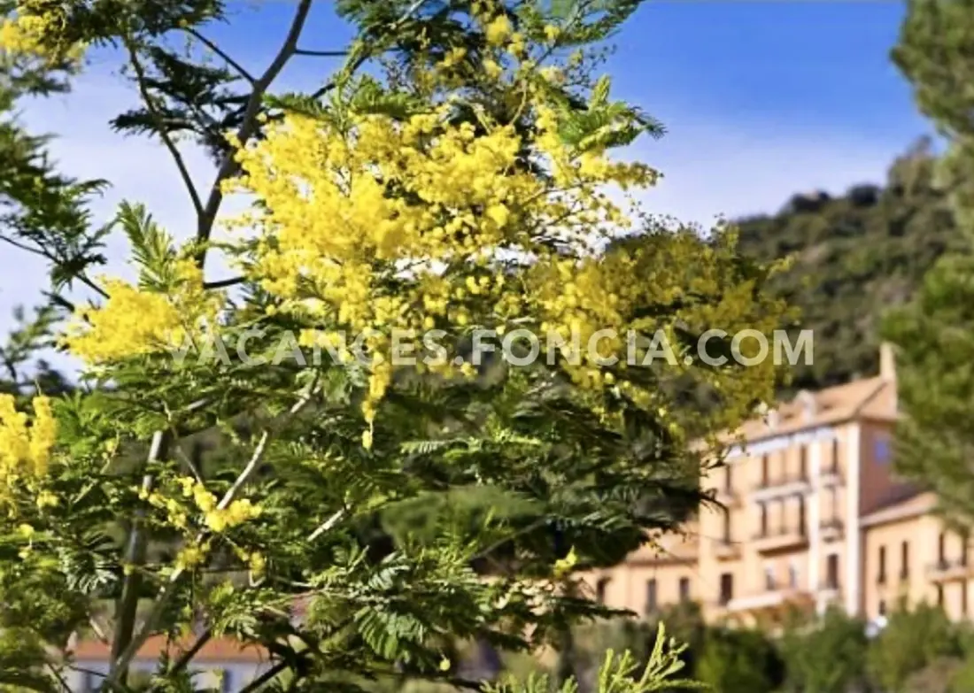 Résidence Cote D'azur I