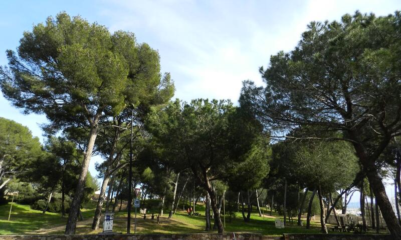 Résidence Jardins Du Golf - - Bormes Les Mimosas - 9