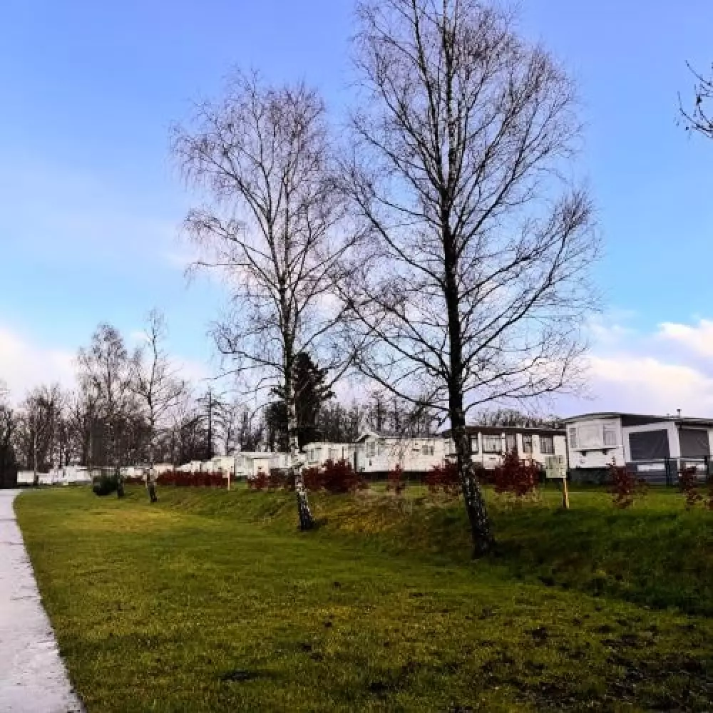 Papillon Bouillon 3 étoiles★★★