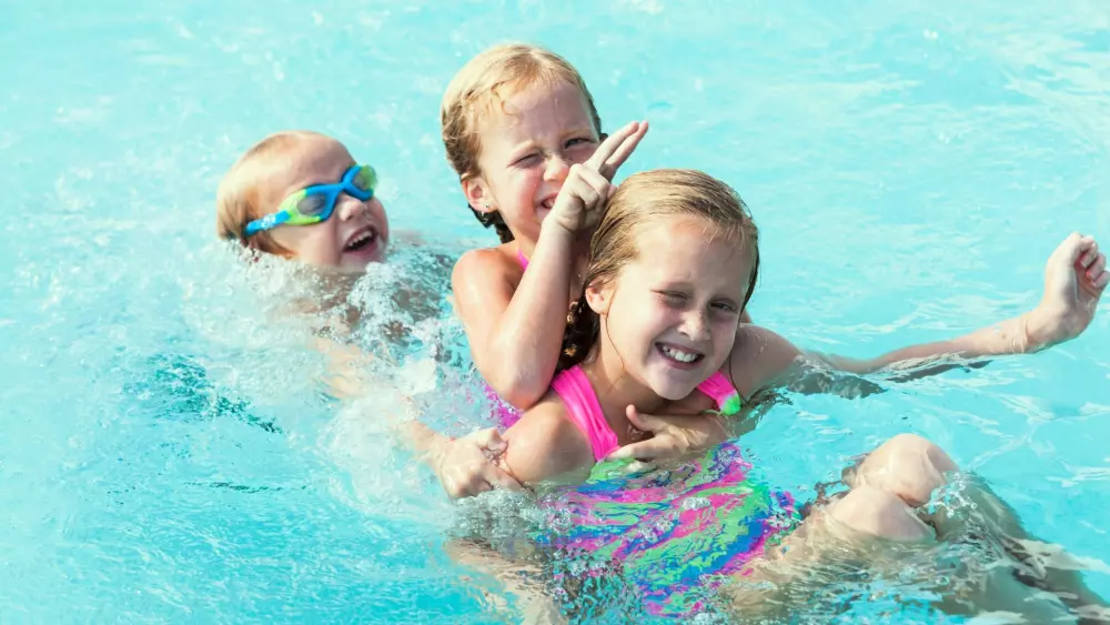 Papillon Bouillon 3 étoiles★★★