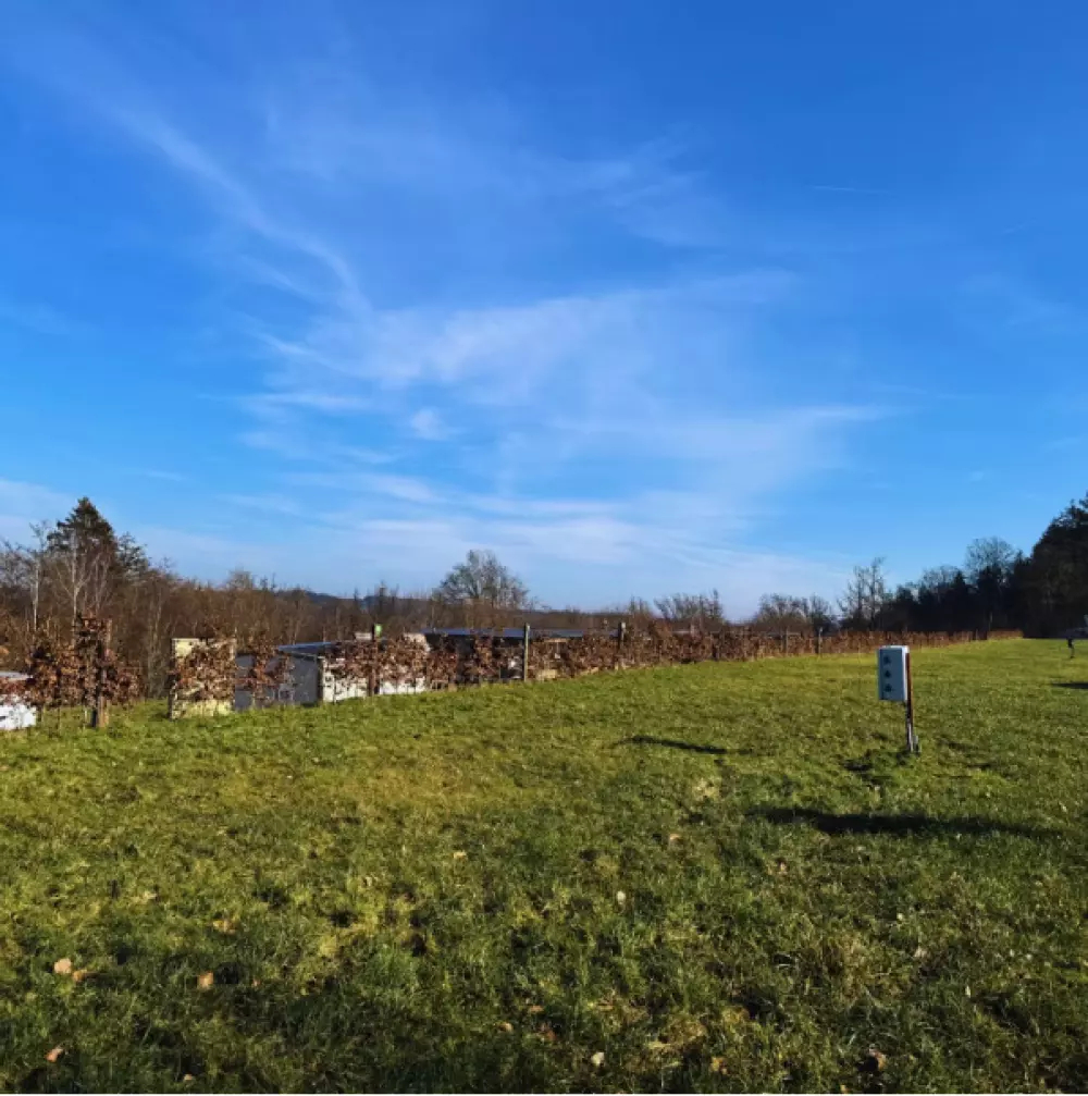 Papillon Bouillon 3 étoiles★★★