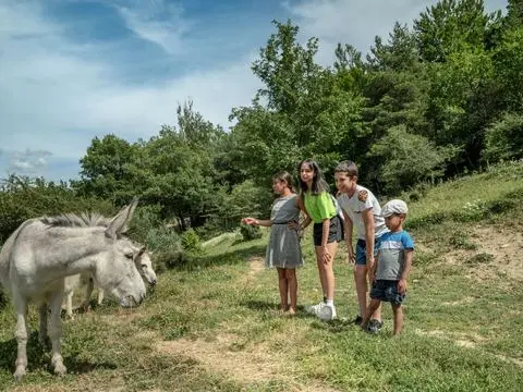 Yelloh! Village Les Bois Du Chatelas 4 étoiles★★★★