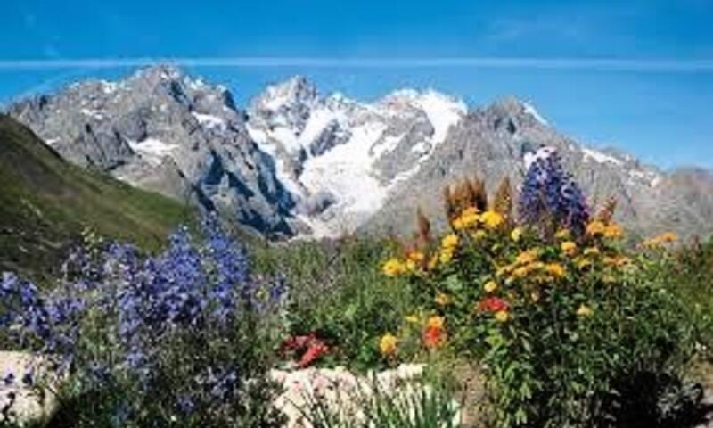 Flower Camping A La Rencontre du Soleil ***** - - Bourg d'Oisans - 39