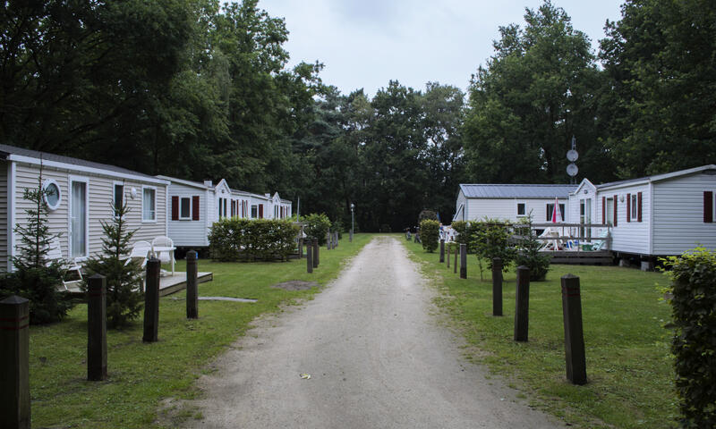Camping Belgique