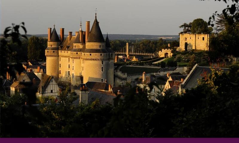 Flower Camping Loire et Châteaux **** - Bréhémont - 47