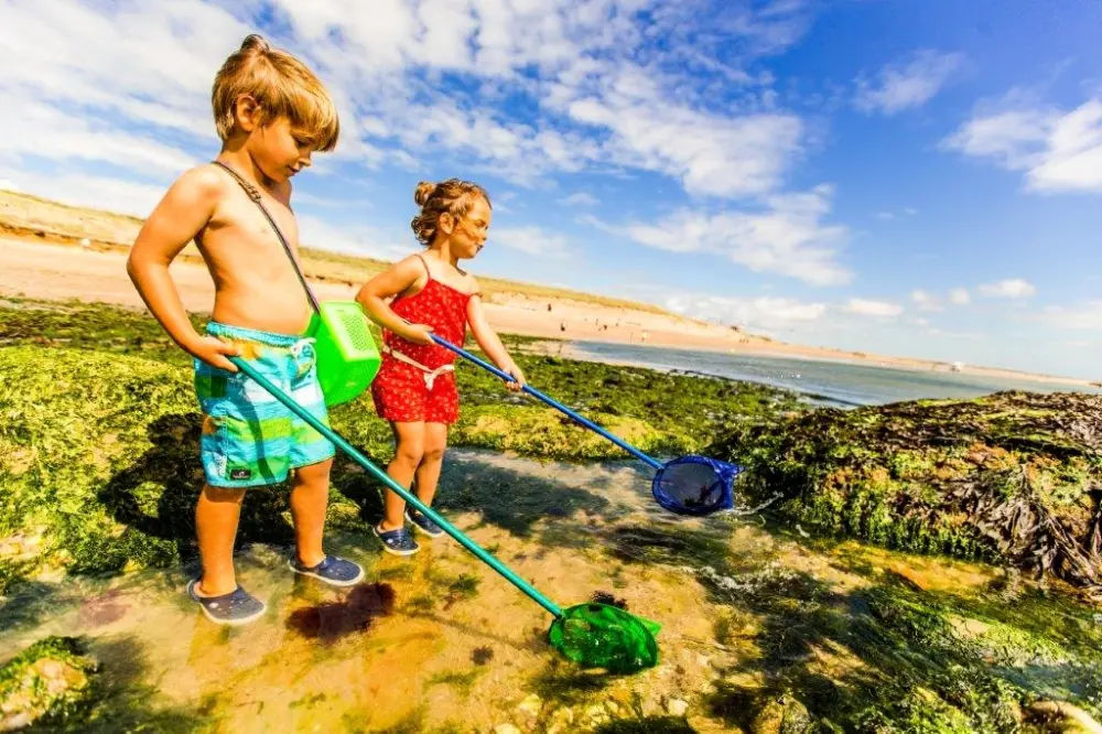 Camping Le Chaponnet 4 étoiles★★★★