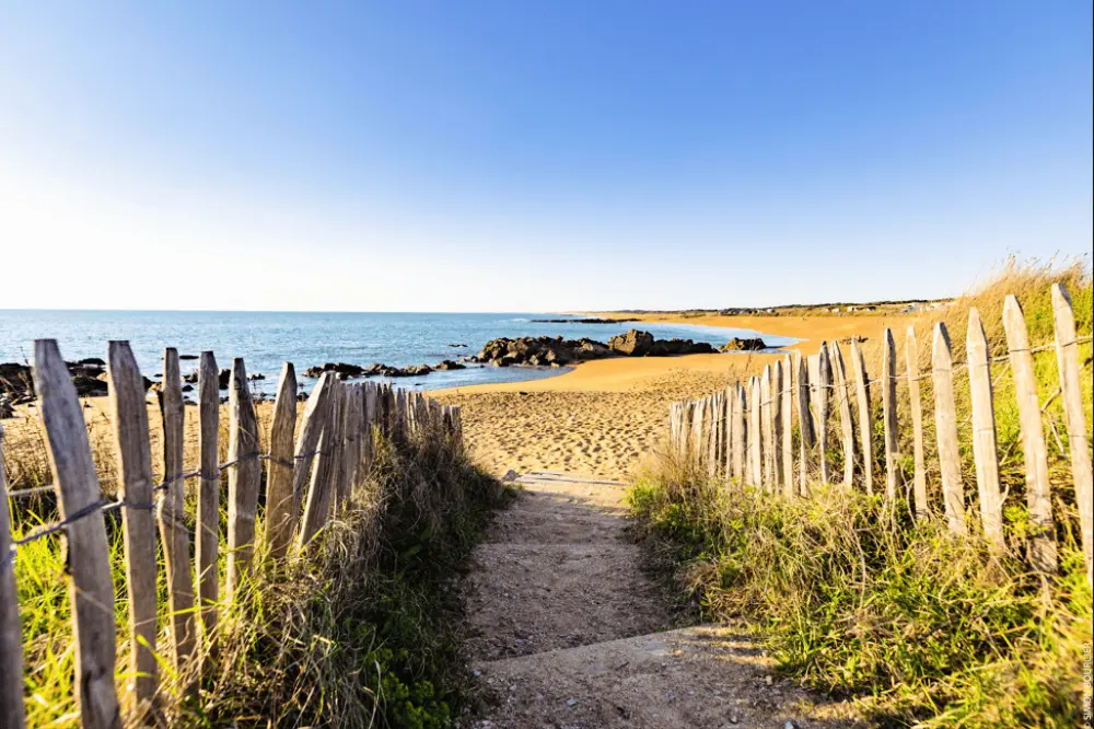 Camping Le Chaponnet 4 étoiles★★★★