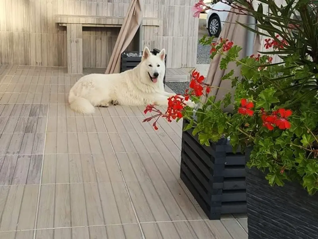 Maison de Vacances Brem 9