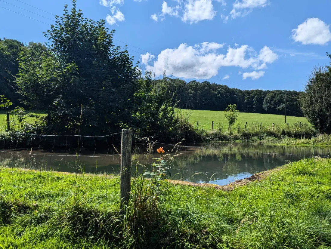 Gîte de France Le chene vert