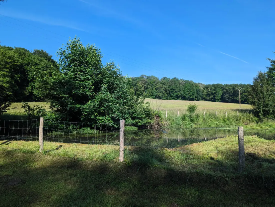Gîte de France Les roseaux bleus