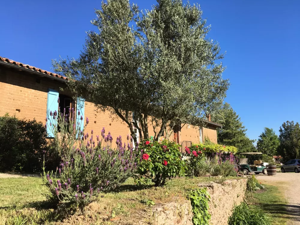 Les Chalets de Fiolles 4 étoiles★★★★